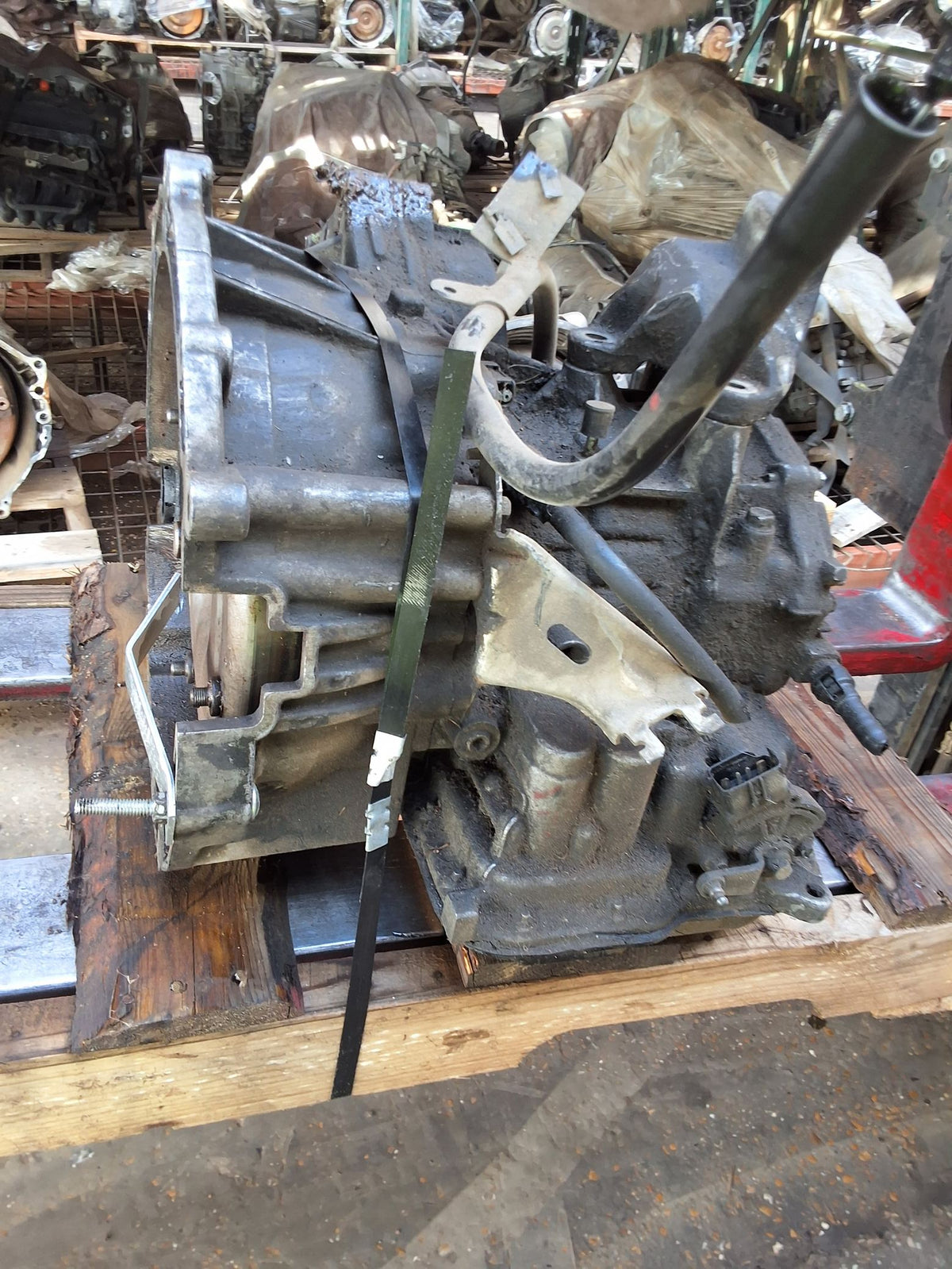 2005-2007 Ford Focus Automatic FWD Transmission