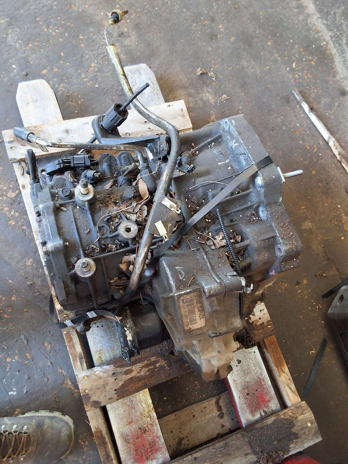 2001-2003 Ford Focus Automatic FWD Transmission