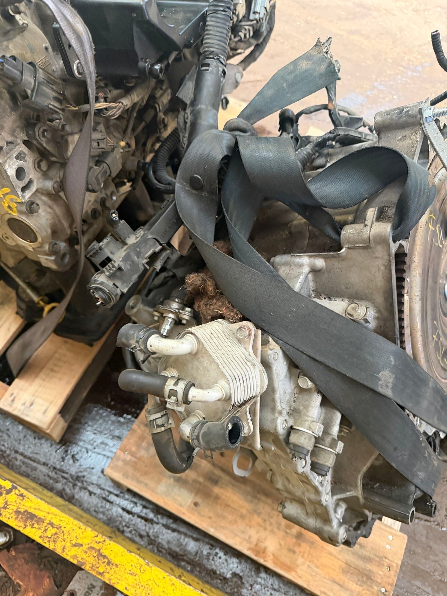 1999 Ford Expedition Automatic RWD Transmission