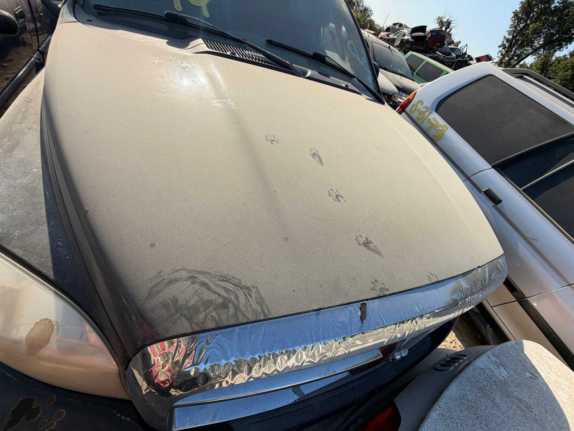 Seat Belt Retractor Rear Passenger Side 2002 - 2008 Dodge Ram 1500