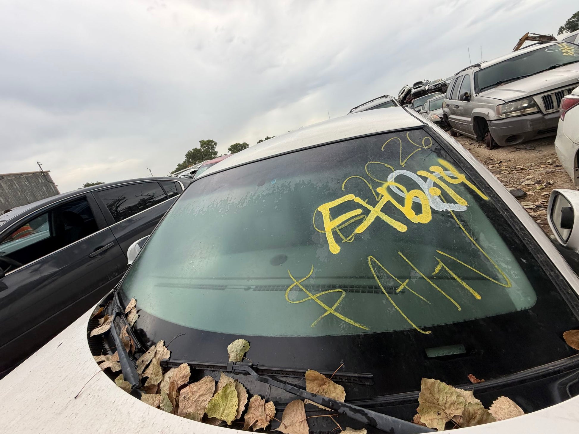 Seat Belt Retractor Rear Driver Side 1998 - 2011 Lincoln Town Car