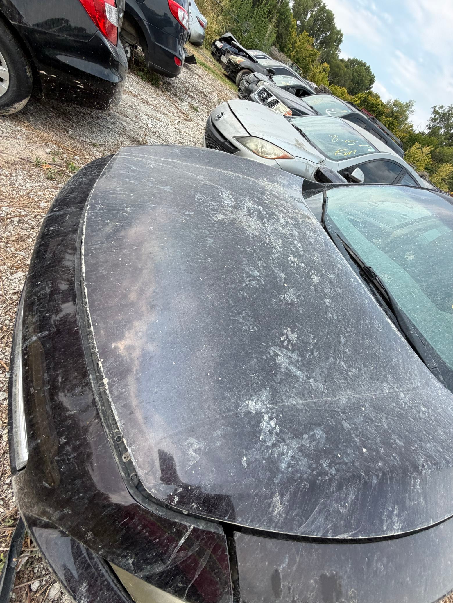 Headliner 2009 - 2014 Nissan Maxima
