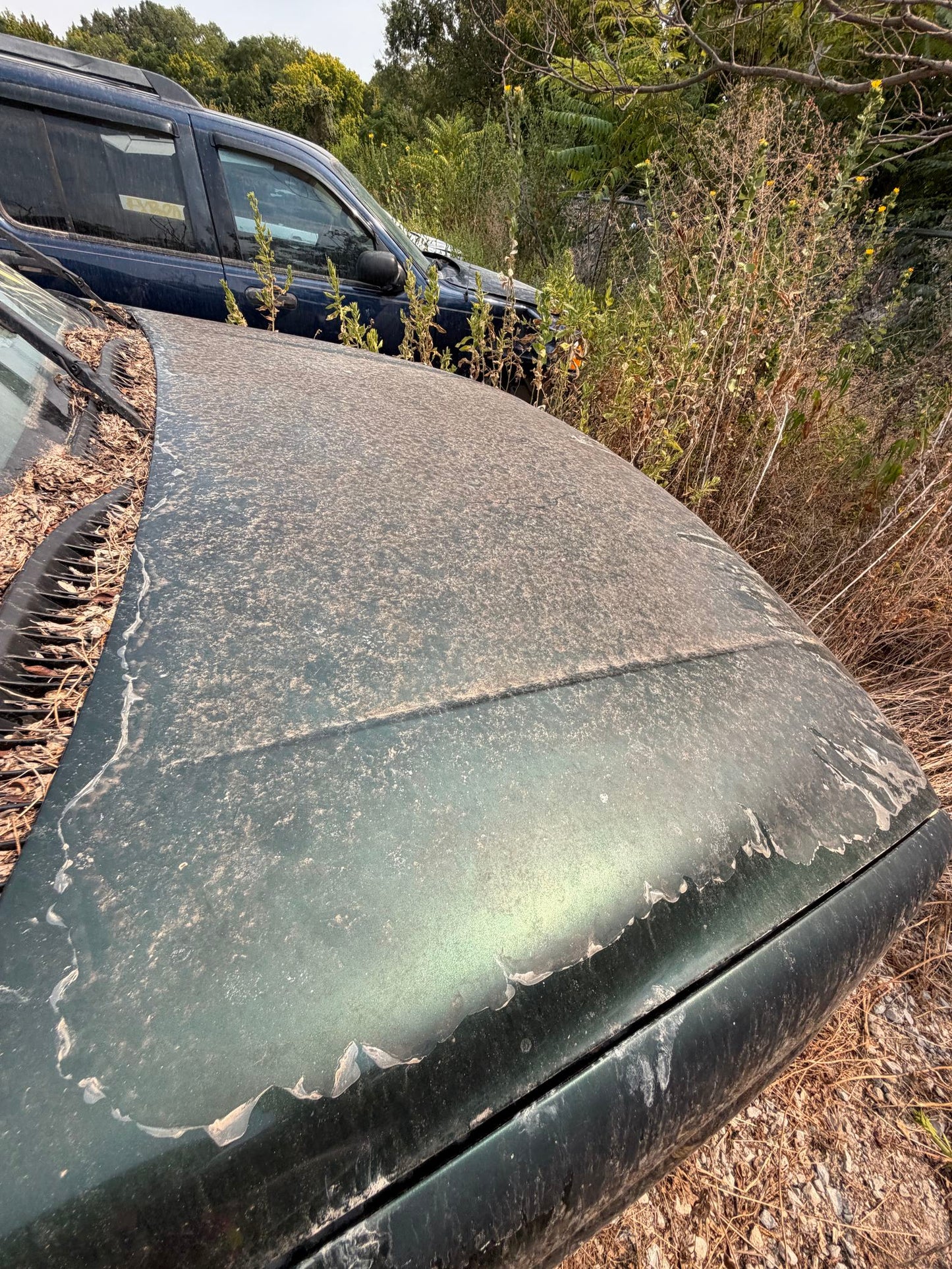 Hood 1999 - 2006 GMC Sierra 1500