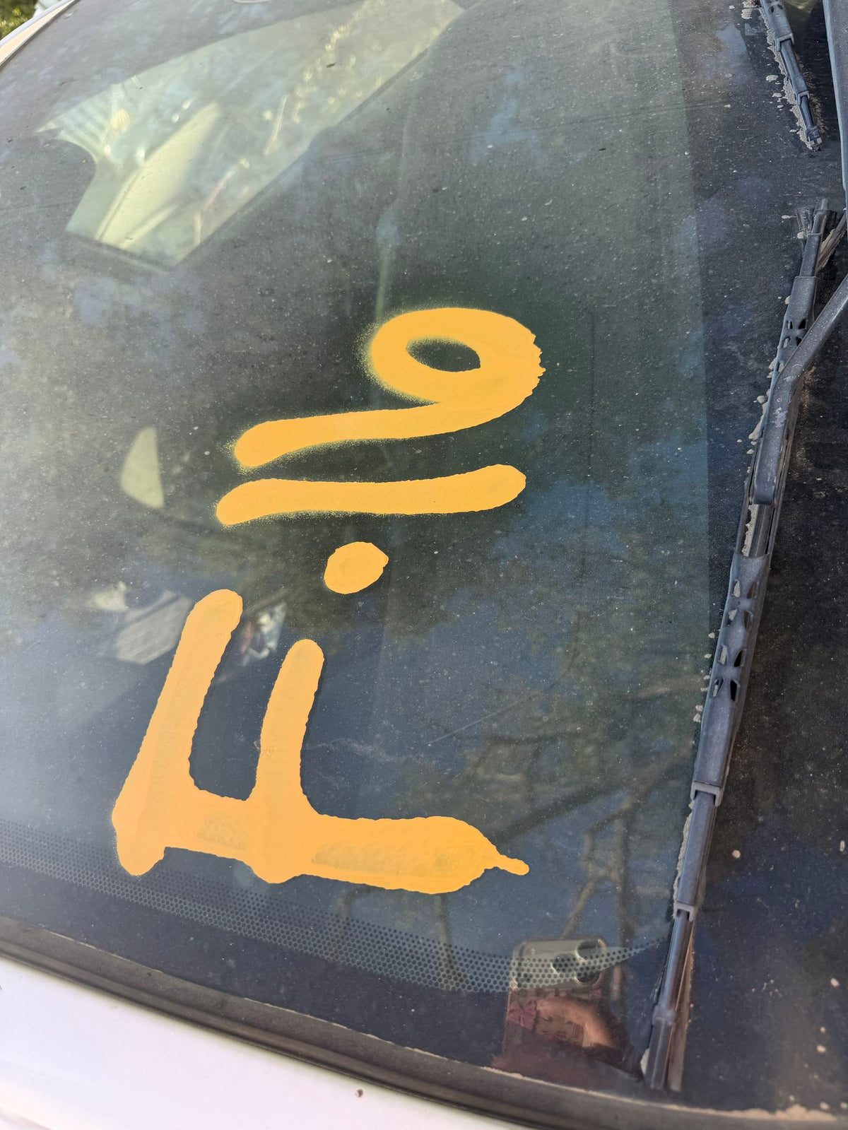 Liftgate Latch Handle 2003 - 2008 Toyota Matrix