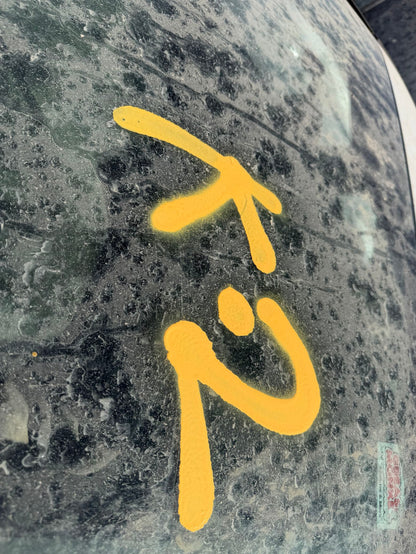 Door Window Glass Front Passenger Side 2012 - 2018 Ford Focus