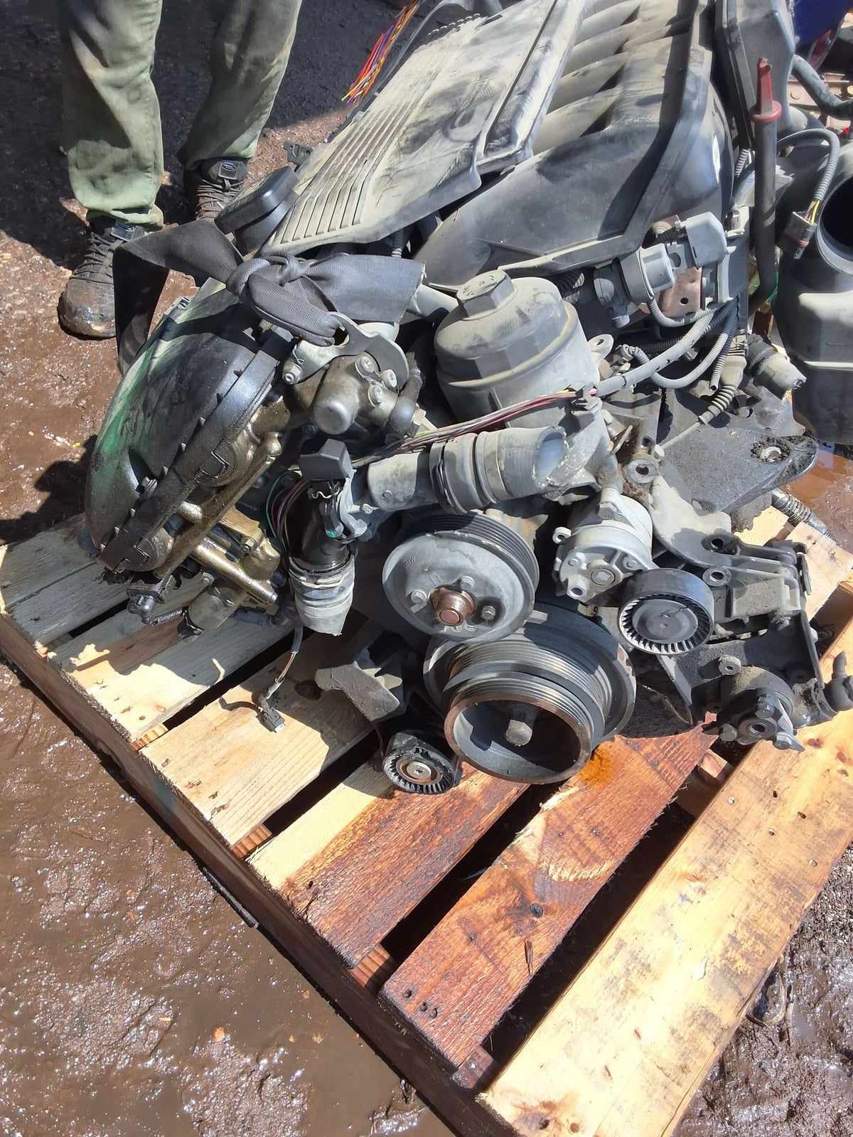 2004-2005 BMW 5 Series 3.0L Engine