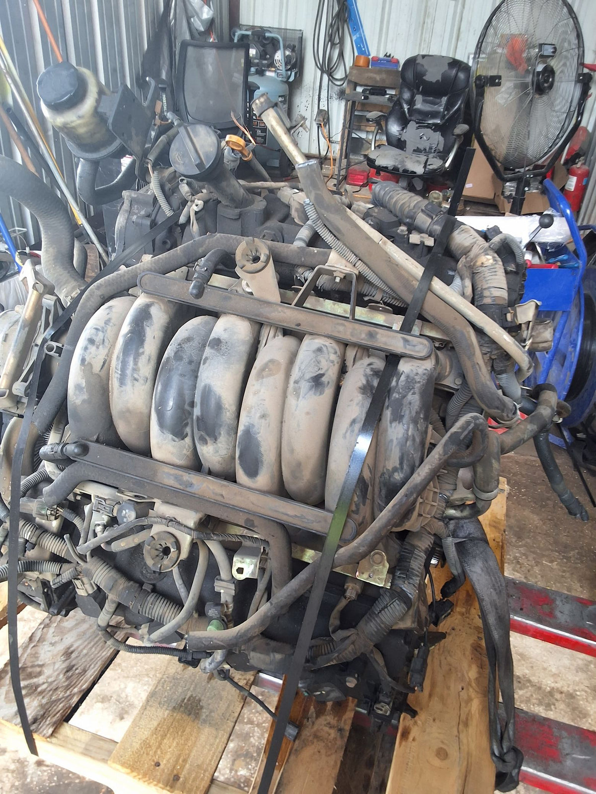 2004-2006 Nissan Pathfinder Armada 5.6L Engine