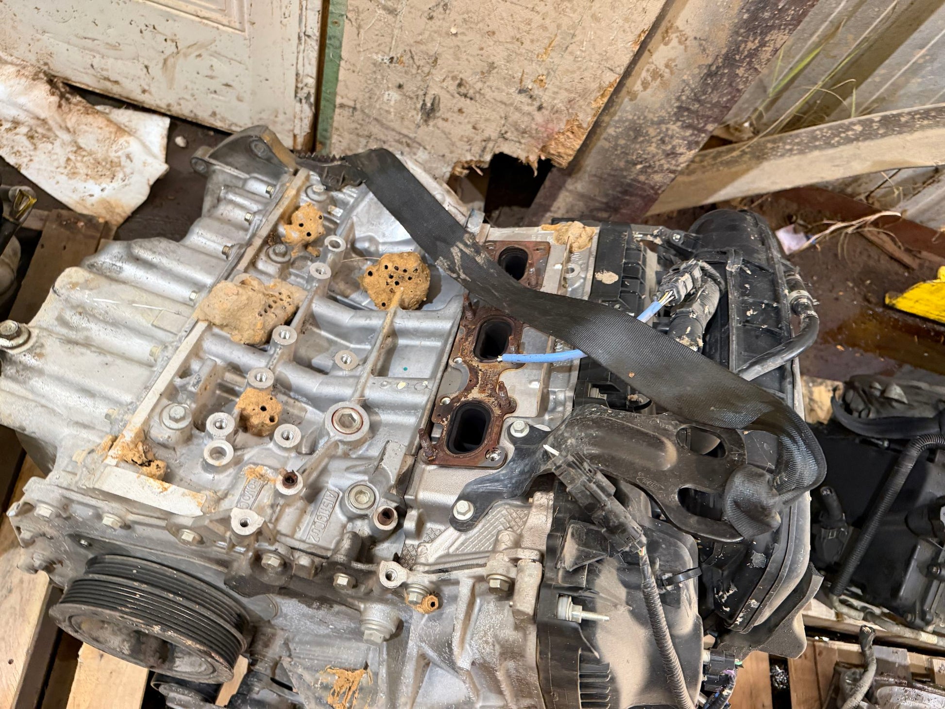 2011 Ford Focus 2.0 L Engine