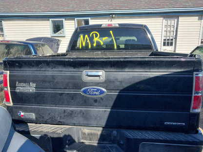 Door Shell Rear Driver Side 2009 - 2014 Ford F-150