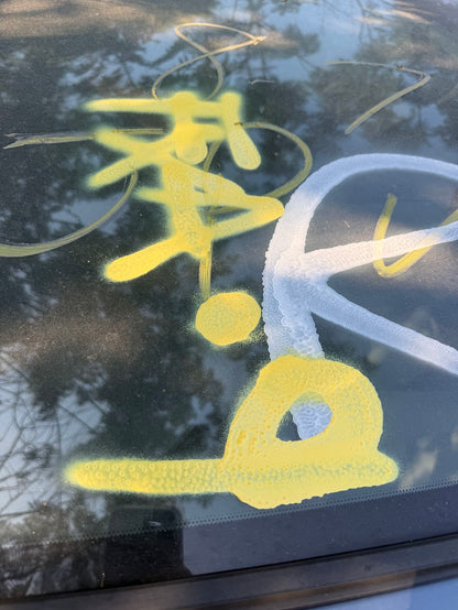 Grille 2003 - 2009 Kia Sorento