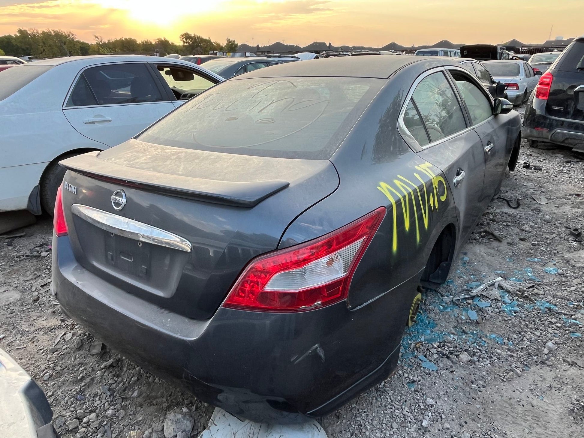 Window Regulator Front Passenger Side 2009 - 2014 Nissan Maxima