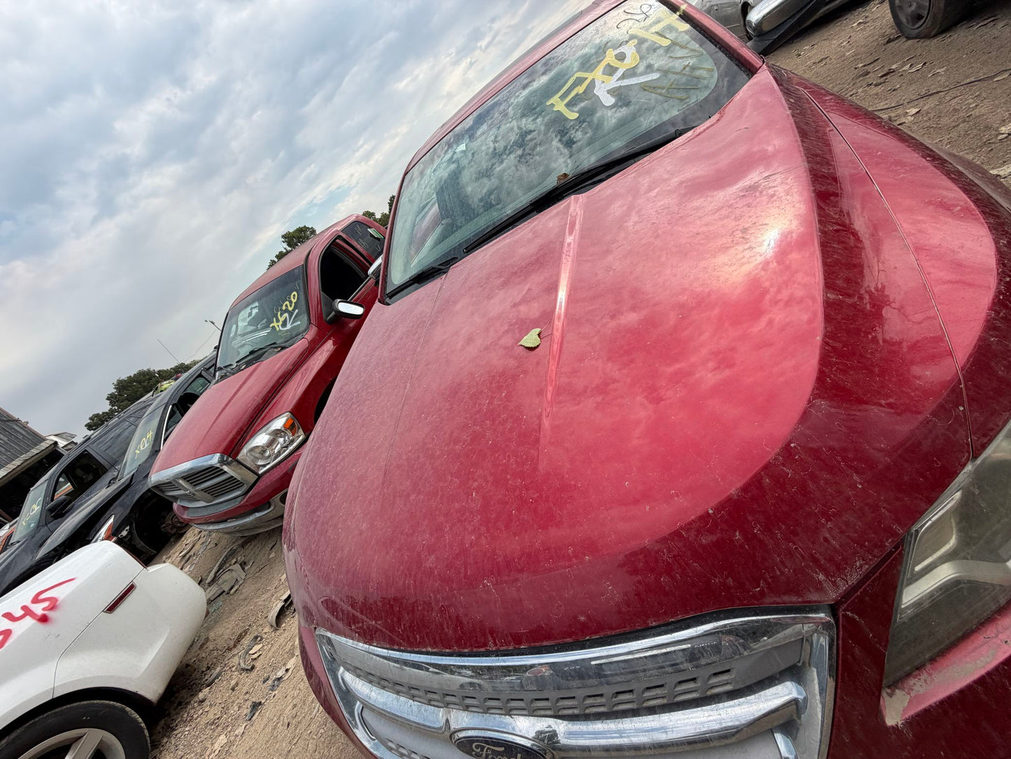 Window Motor Rear Driver Side 2010 - 2019 Ford Taurus