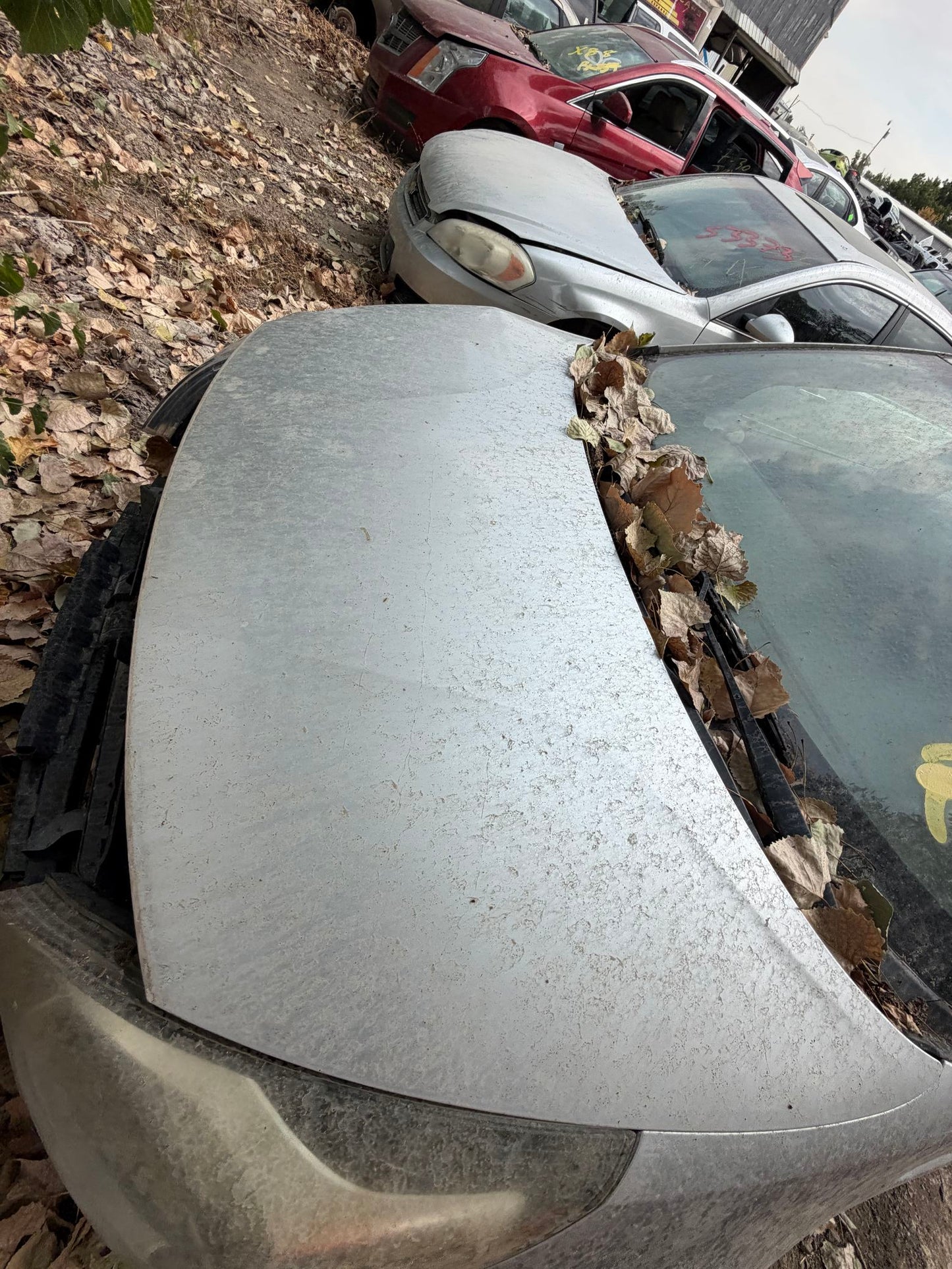 Headliner 2012 - 2017 Kia Rio