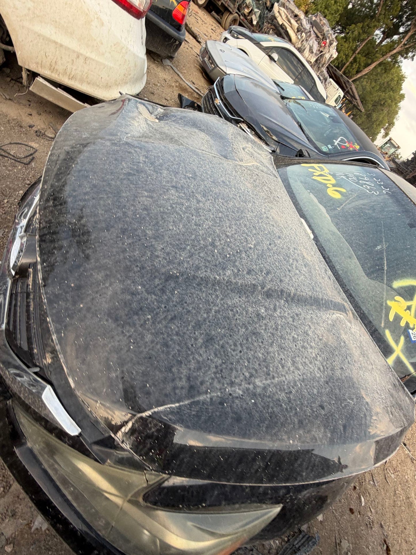Rear Window Glass 2013 - 2018 Nissan Altima
