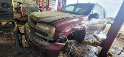 Wheel Opening Molding Driver Side 2002 - 2009 Chevrolet Trailblazer
