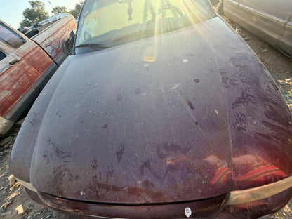 Shock Absorber Rear Driver Side 2000 - 2005 Buick LeSabre