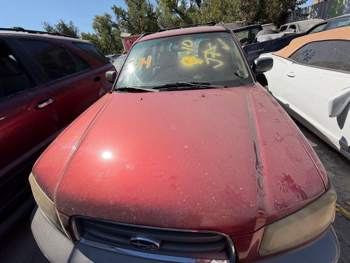 Fog Light Passenger Side 2003 - 2008 Subaru Forester