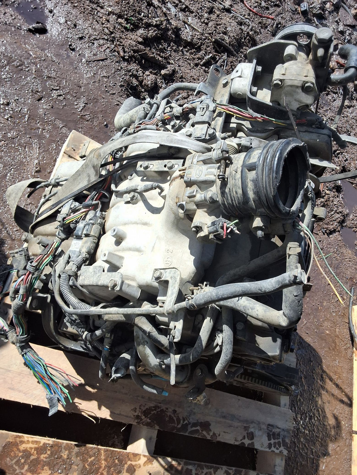 2003-2006 Kia Sorento 3.5L Engine