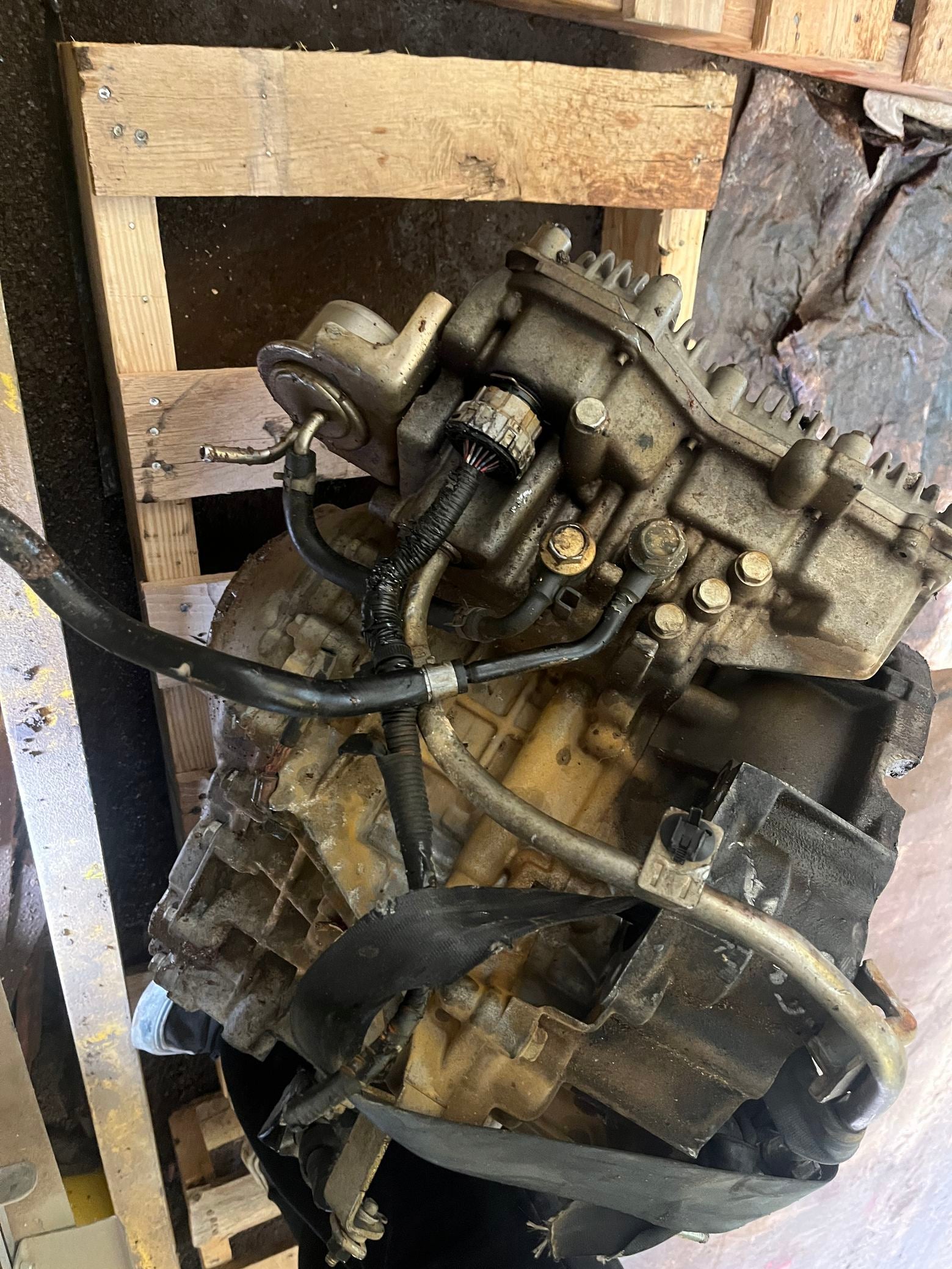2010 Ford Mustang Automatic RWD Transmission