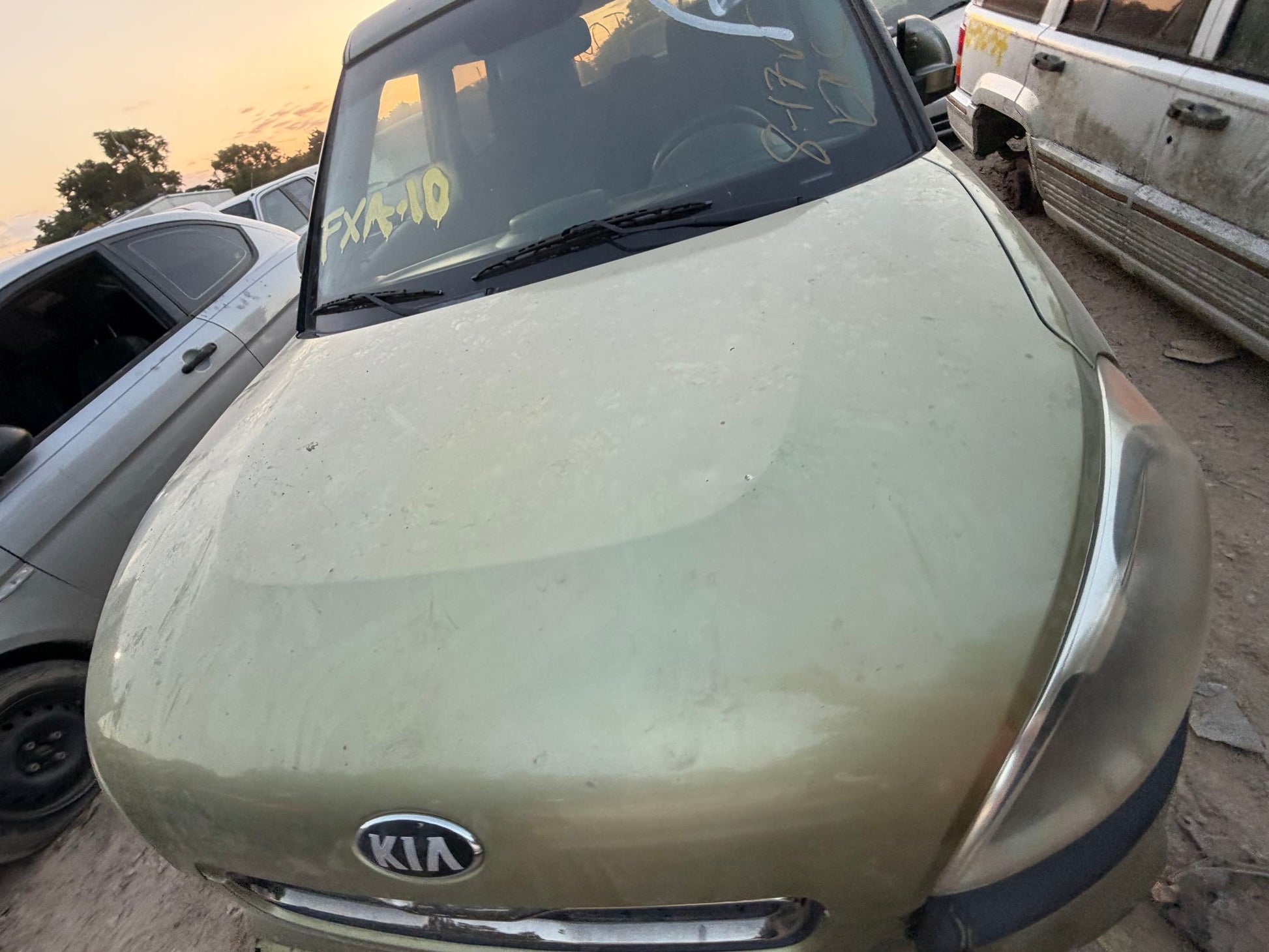 Door Window Glass Front Driver Side 2010 - 2013 Kia Soul