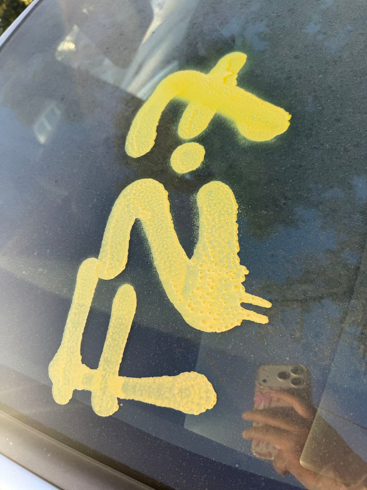 Headlight Assembly Front Driver Side 2002 - 2009 Chevrolet TrailBlazer (mid-size)
