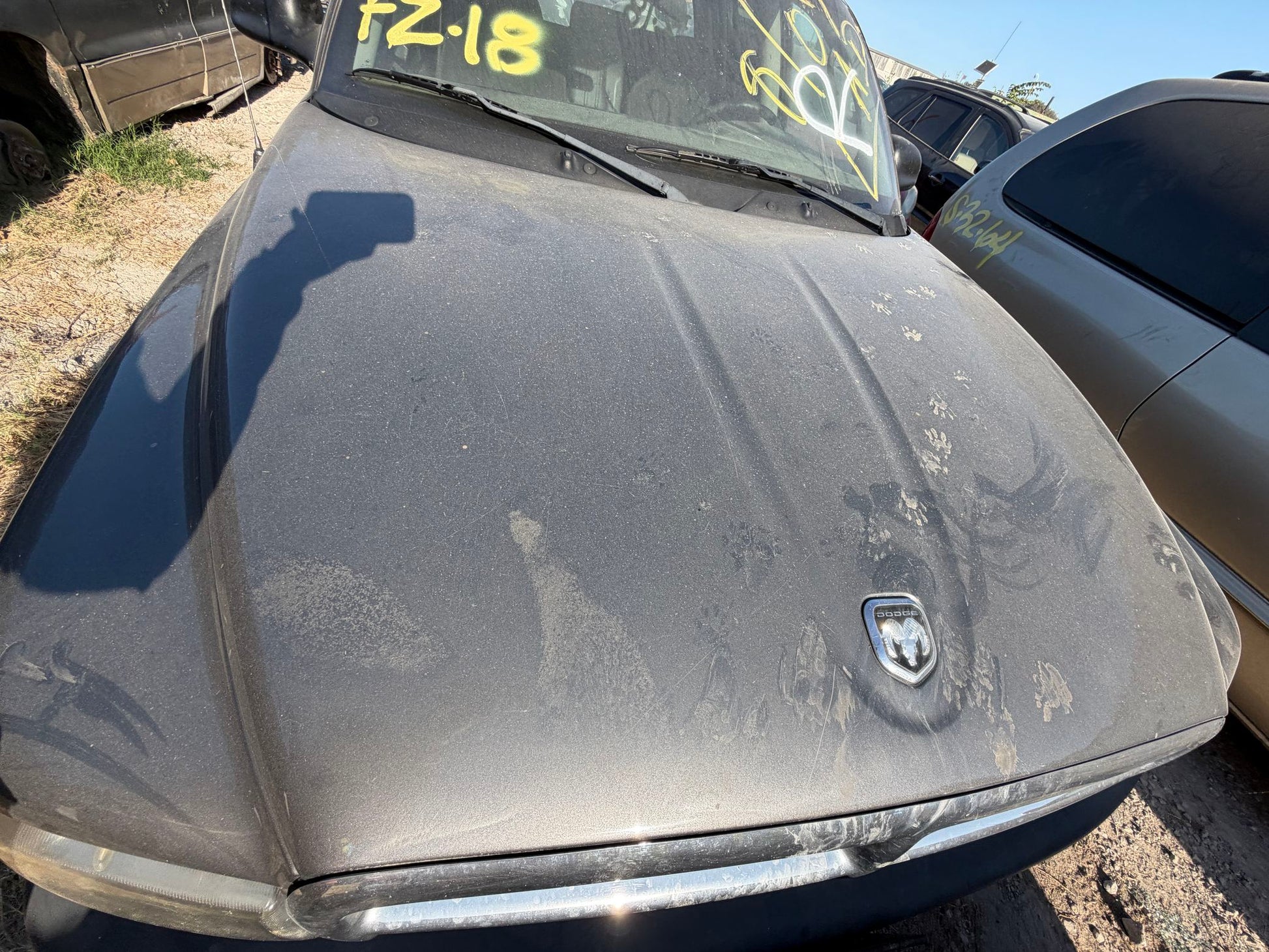 Door Trim Panel Rear Passenger Side 1997 - 2004 Dodge Dakota