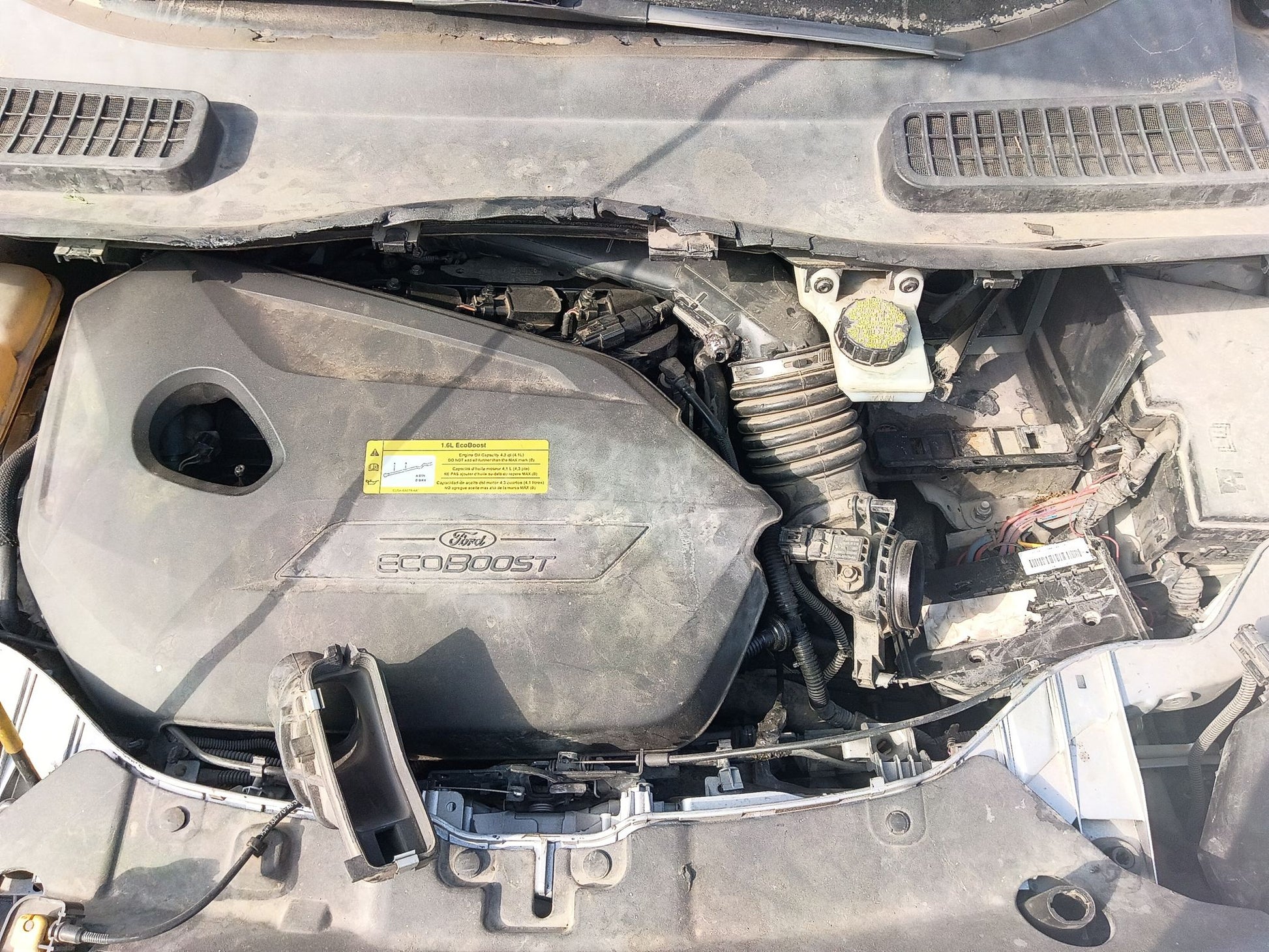 Door Shell Rear Passenger Side 2013 - 2019 Ford Escape