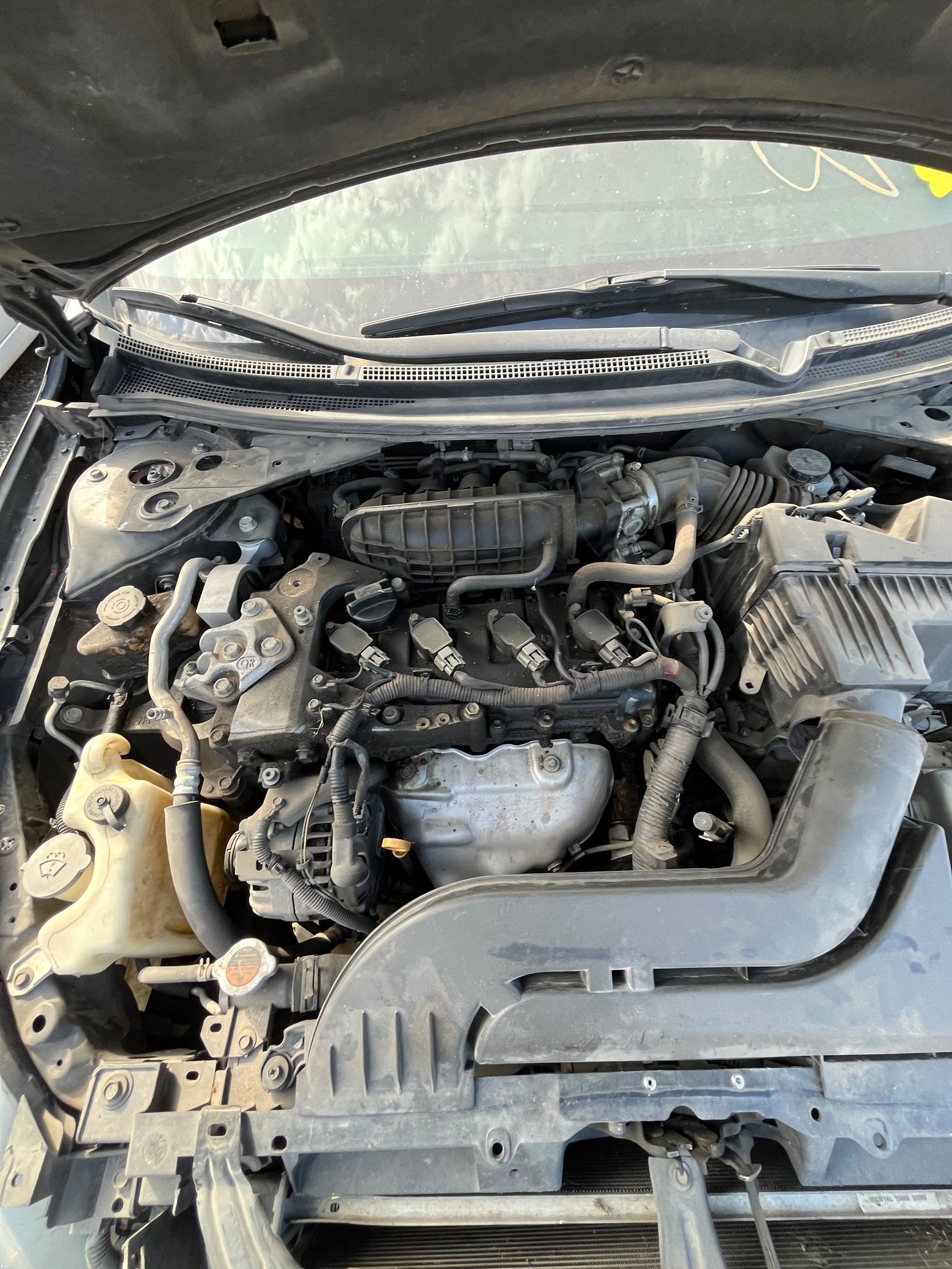 Window Motor Front Passenger Side 2007 - 2012 Nissan Altima