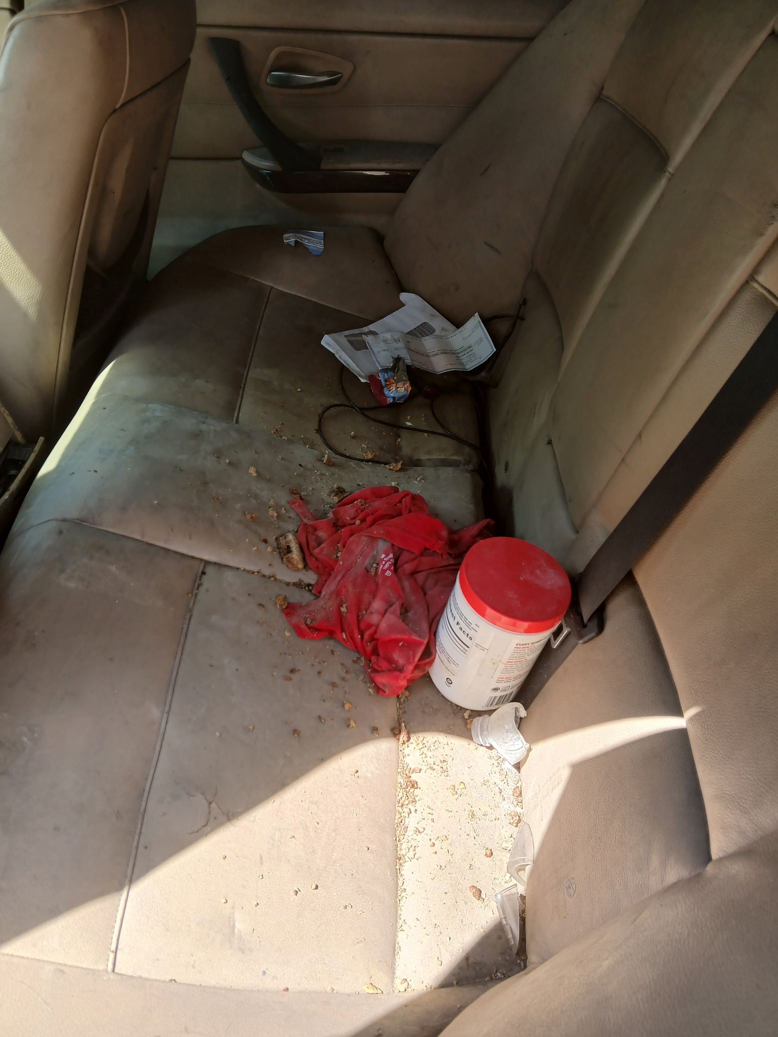 Window Regulator Rear Driver Side 2006 - 2011 BMW 3 Series