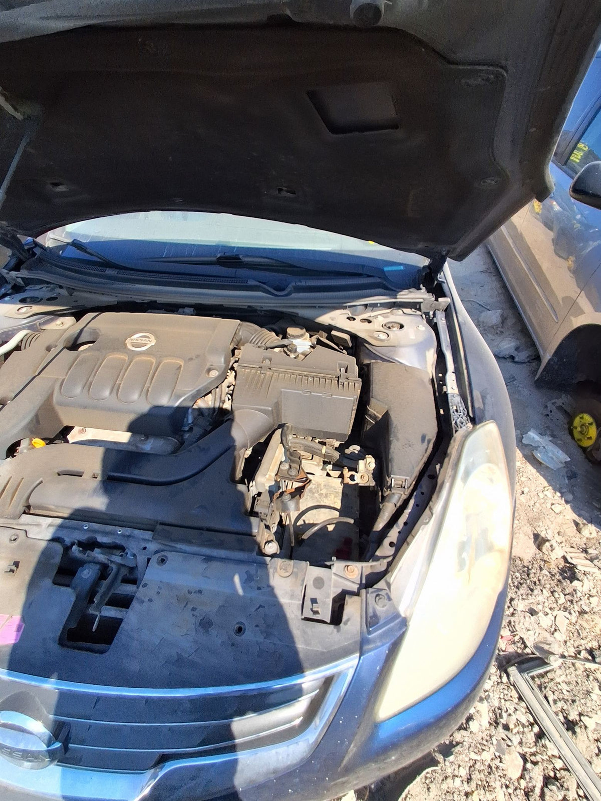 Window Regulator Rear Passenger Side 2007 - 2012 Nissan Altima