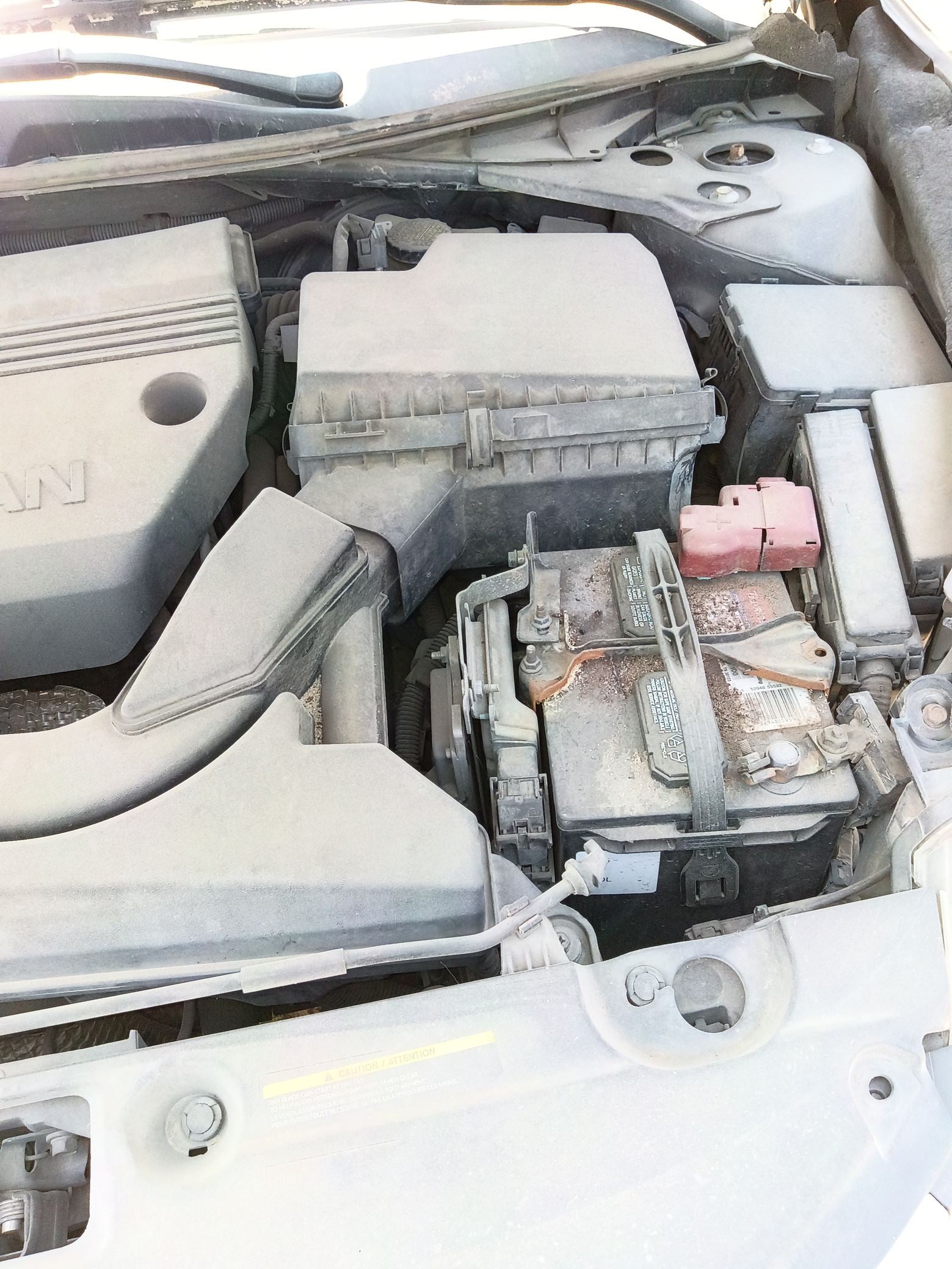 Seat Belt Assembly Rear Driver Side 2013 - 2018 Nissan Altima