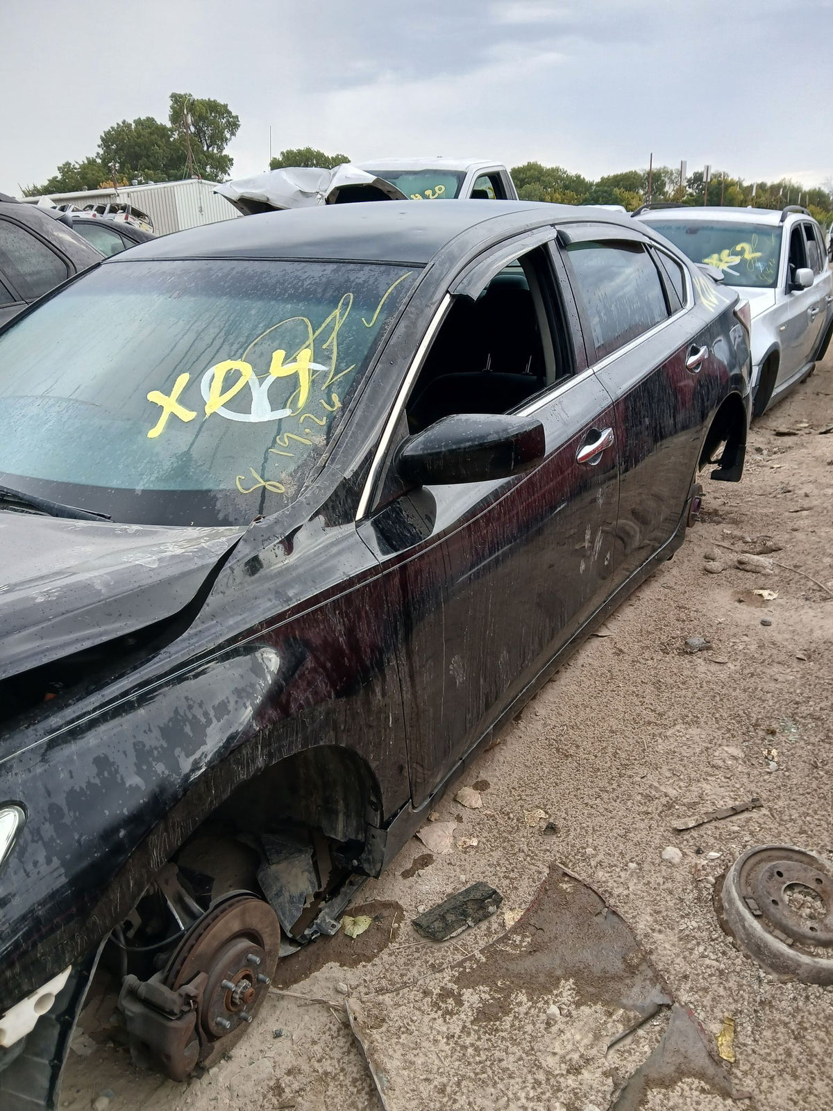 Window Regulator Front Passenger Side 2013 - 2018 Nissan Altima