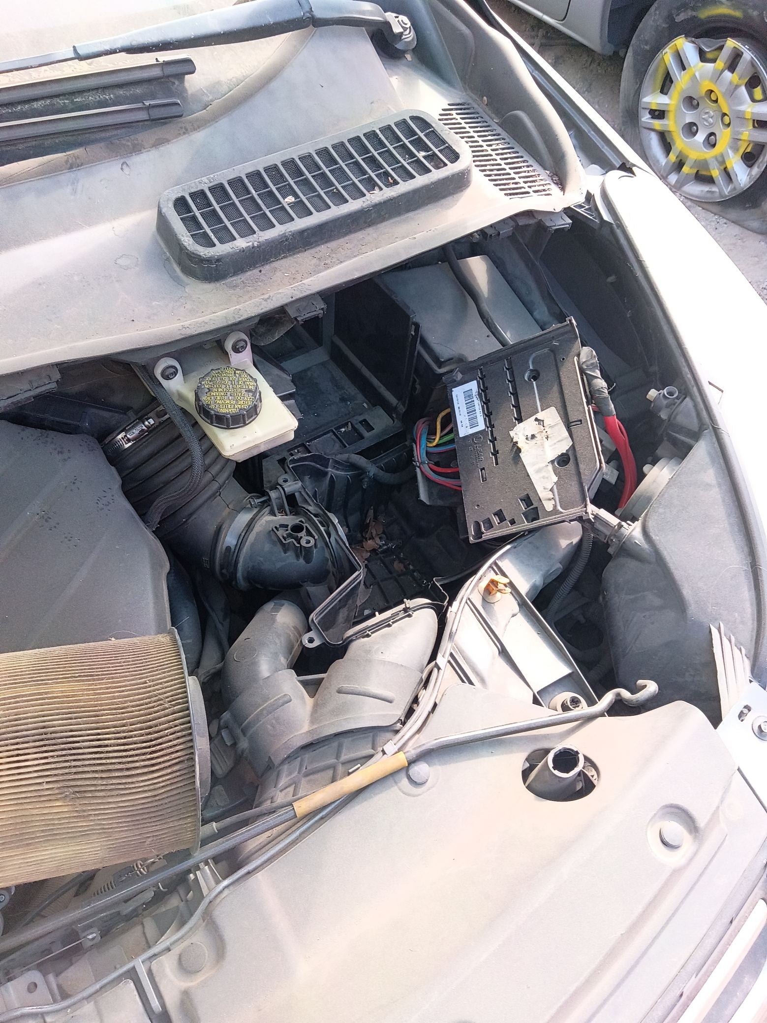 Hood 2013 - 2019 Ford Escape