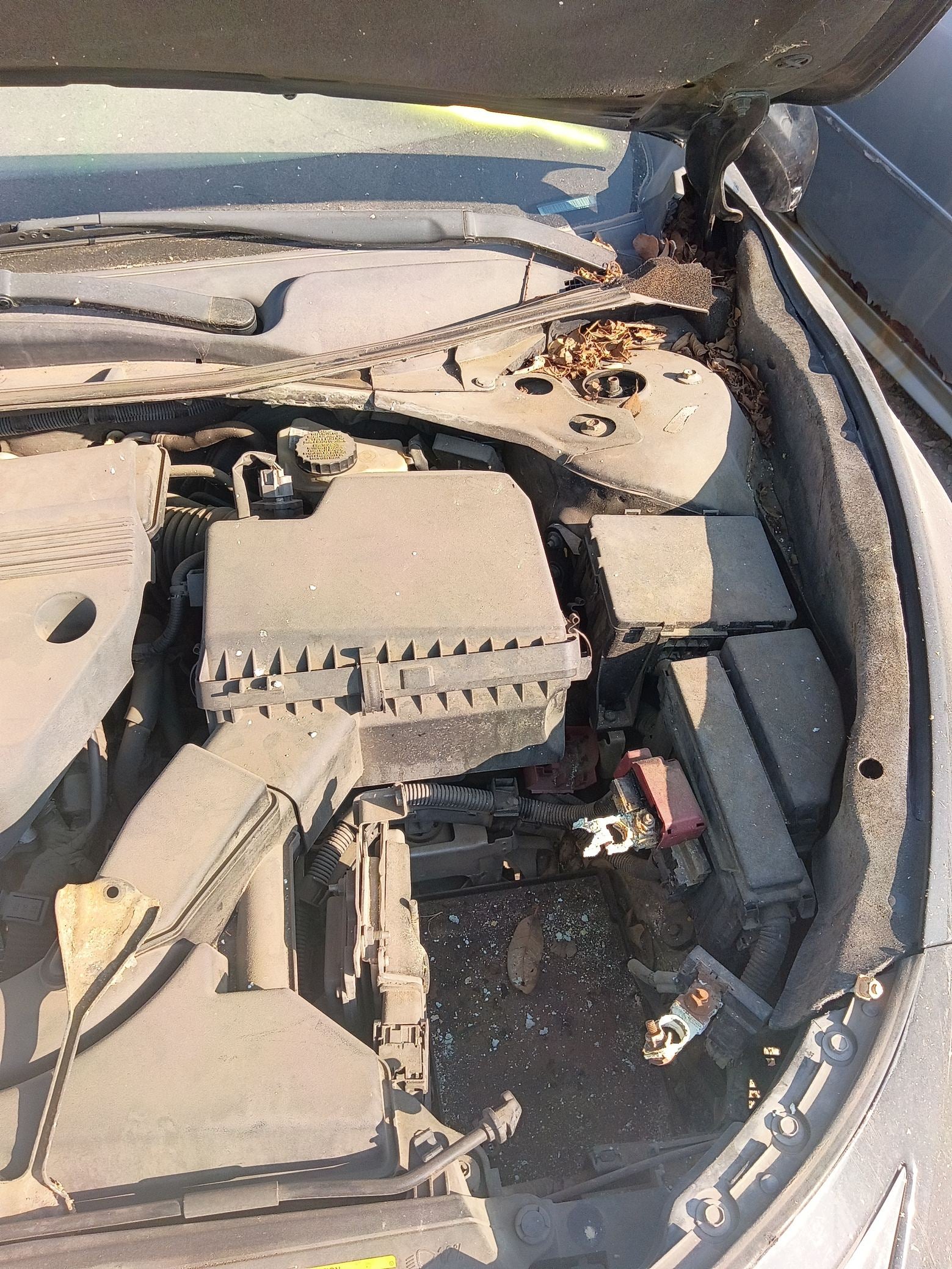 Engine Control Module 2002 - 2006 Nissan Altima