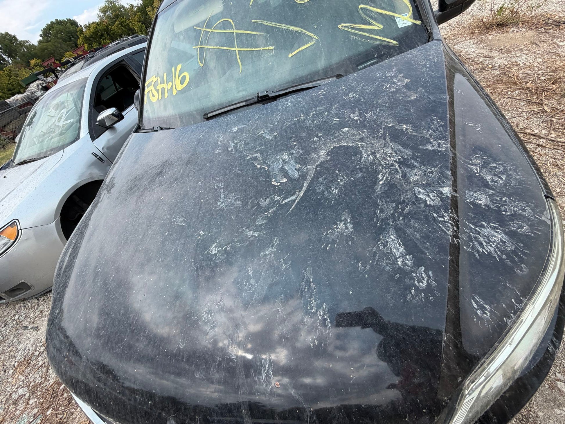 Door Shell Rear Passenger Side 2009 - 2017 Volkswagen Tiguan
