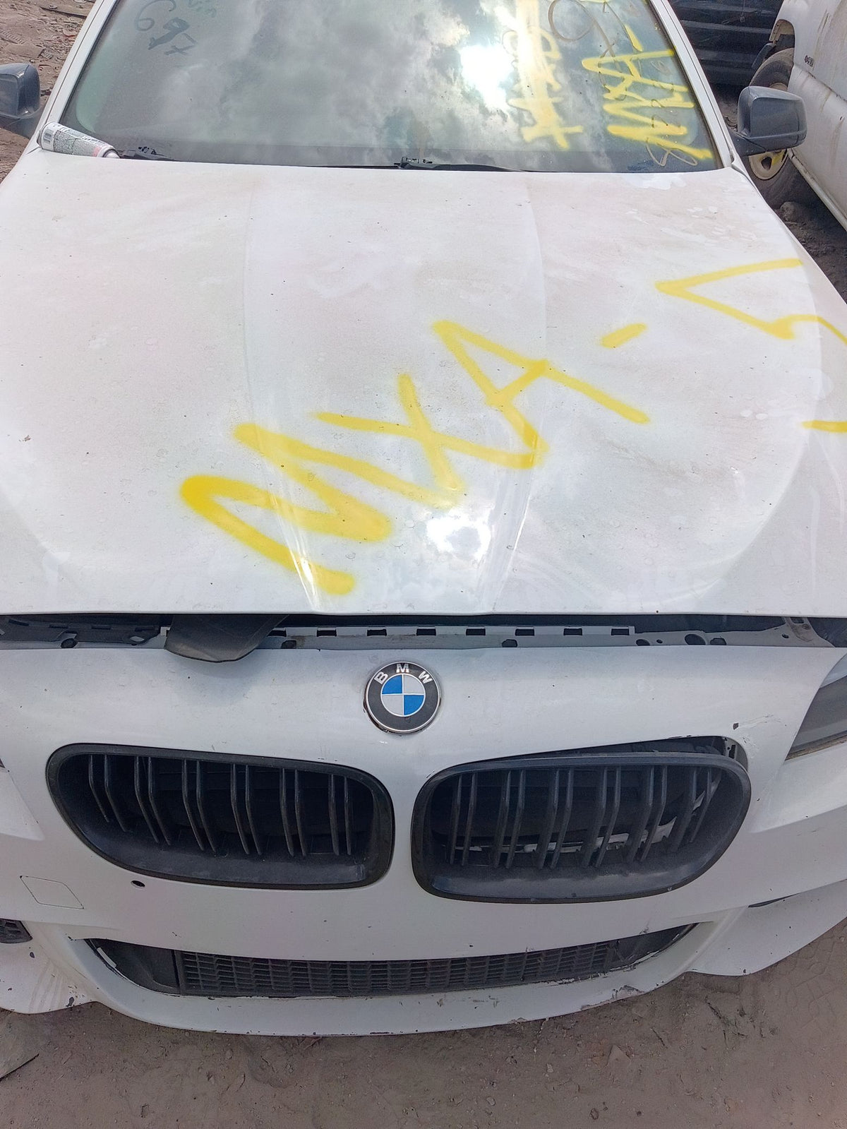 Door Window Glass Front Passenger Side 2011 - 2016 BMW 5 Series