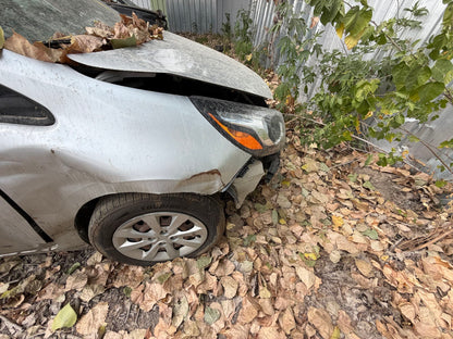 Strut Front Driver Side 2012 - 2017 Kia Rio