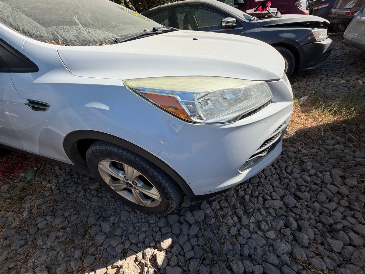 Hood 2013 - 2019 Ford Escape