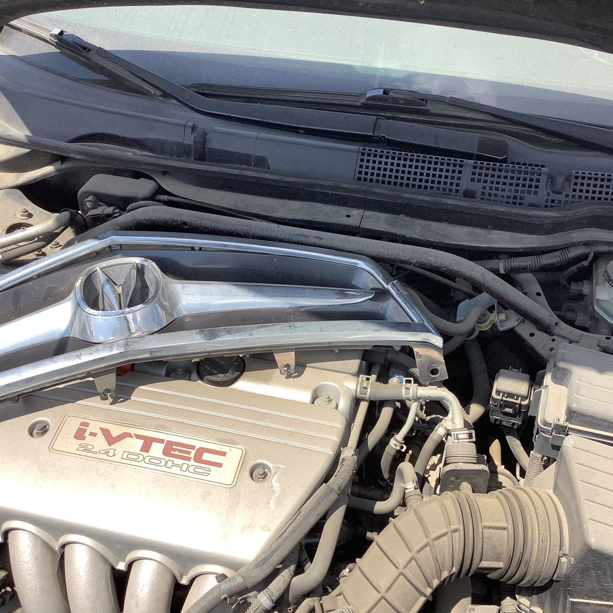 Door Trim Panel Rear Passenger Side 2004 - 2008 Acura TSX
