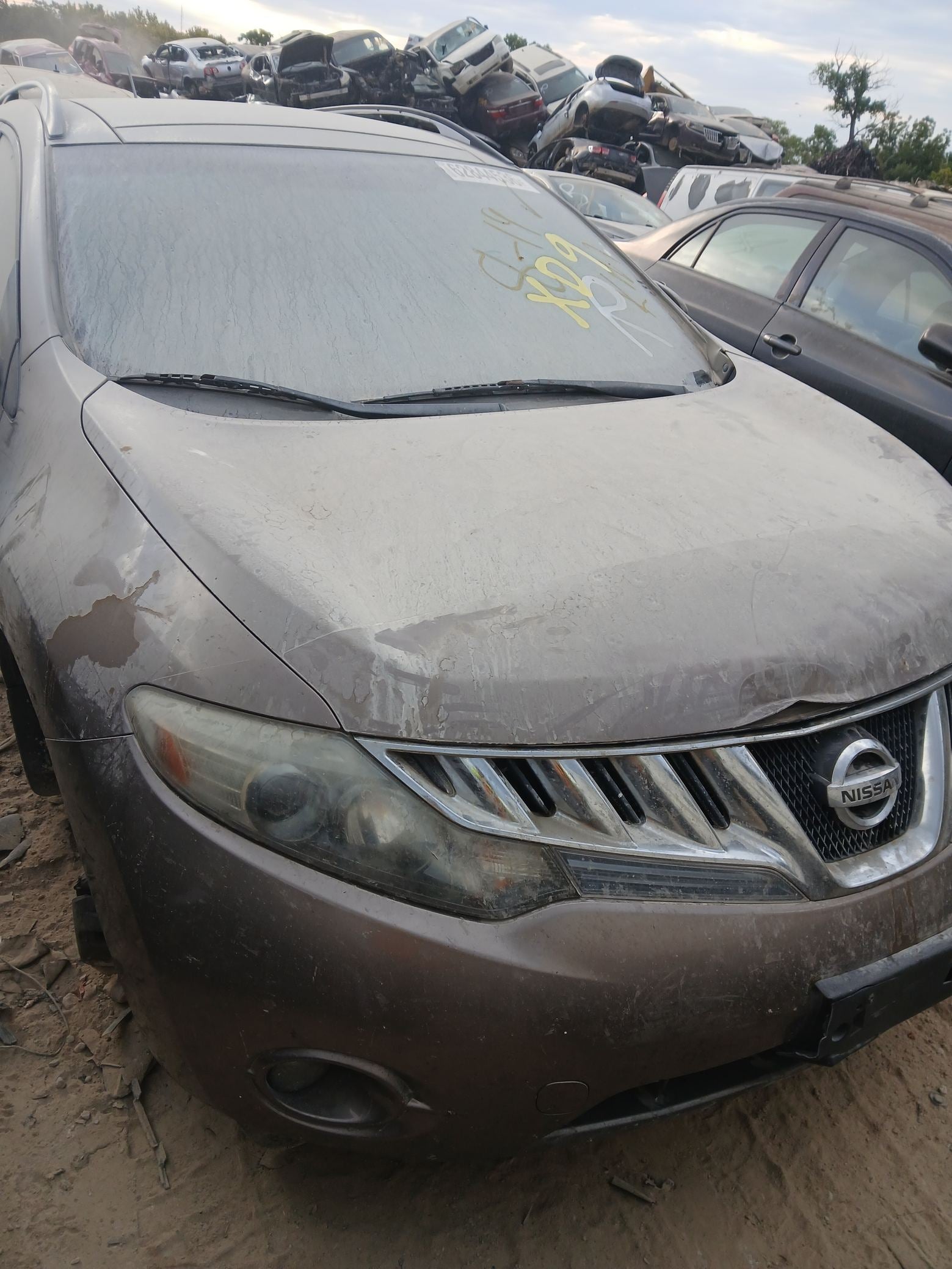 Fog Light Driver Side 2009 - 2014 Nissan Murano
