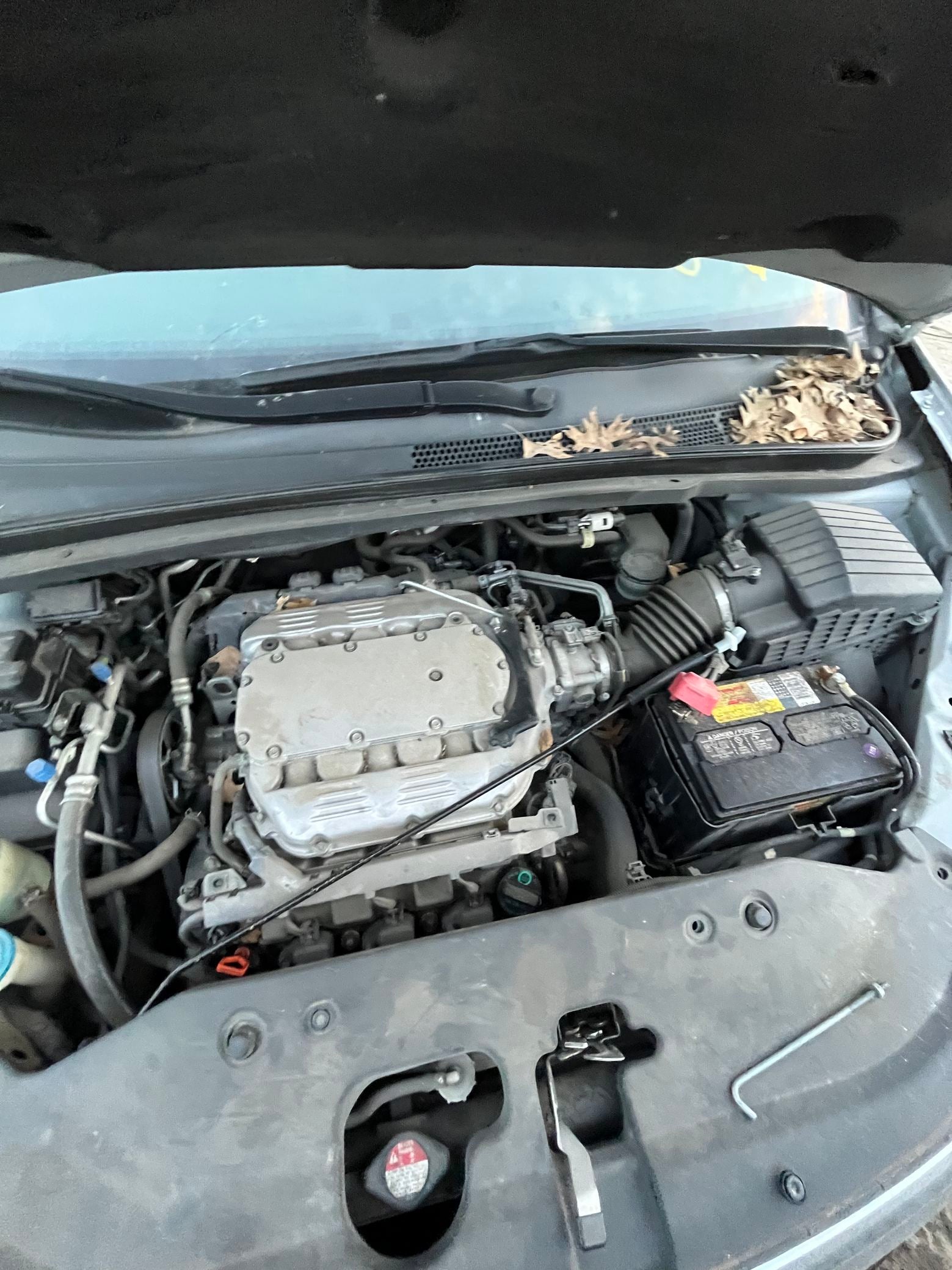 A-Pillar Trim Panel Passenger Side 2005 - 2010 Honda Odyssey