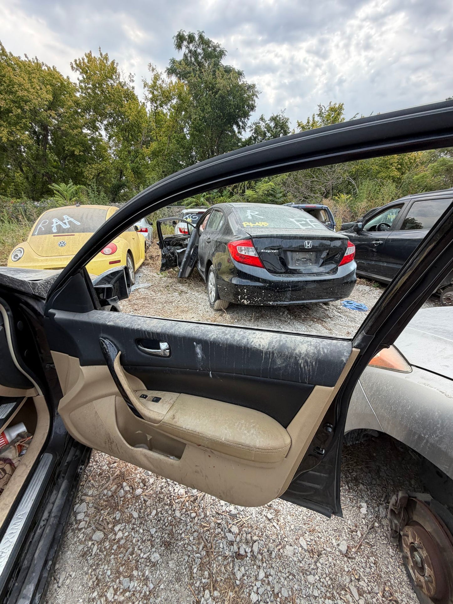 Door Window Glass Front Passenger Side 2009 - 2014 Nissan Maxima
