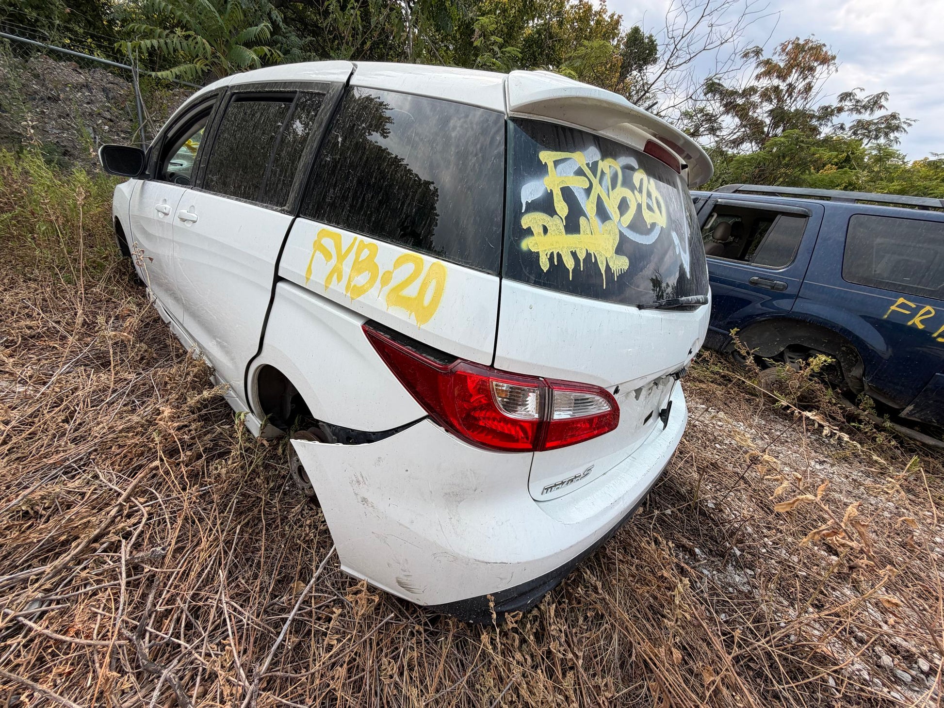 Transmission Mount 2012 - 2015 Mazda Mazda5