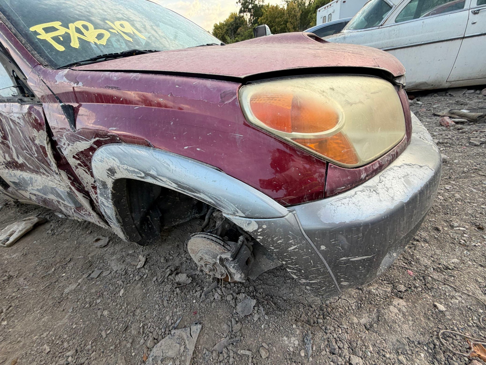 Window Regulator Front Passenger Side 2001 - 2005 Toyota RAV4