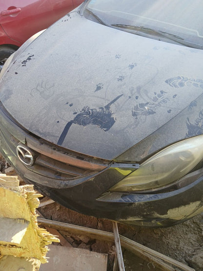 Axle Shaft Front Passenger Side 2009 - 2013 Mazda Mazda6