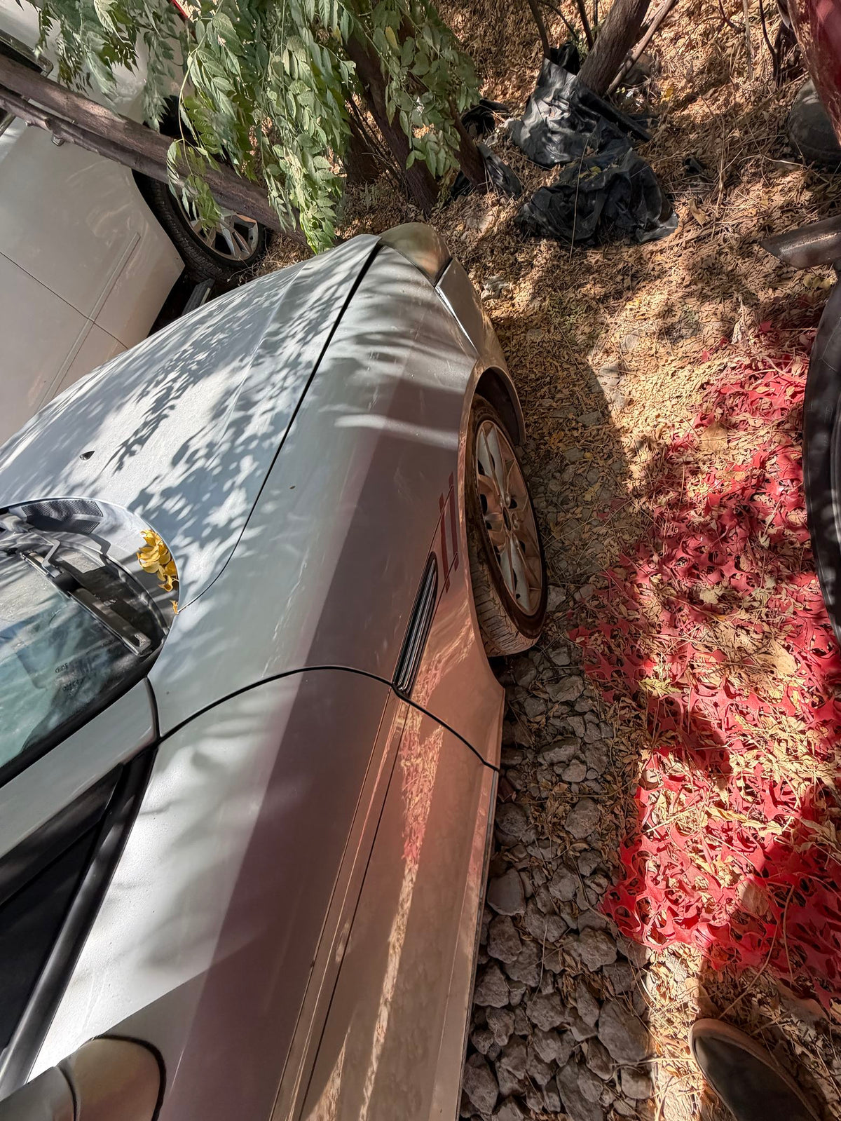 Carpet 2003 - 2008 Hyundai Tiburon