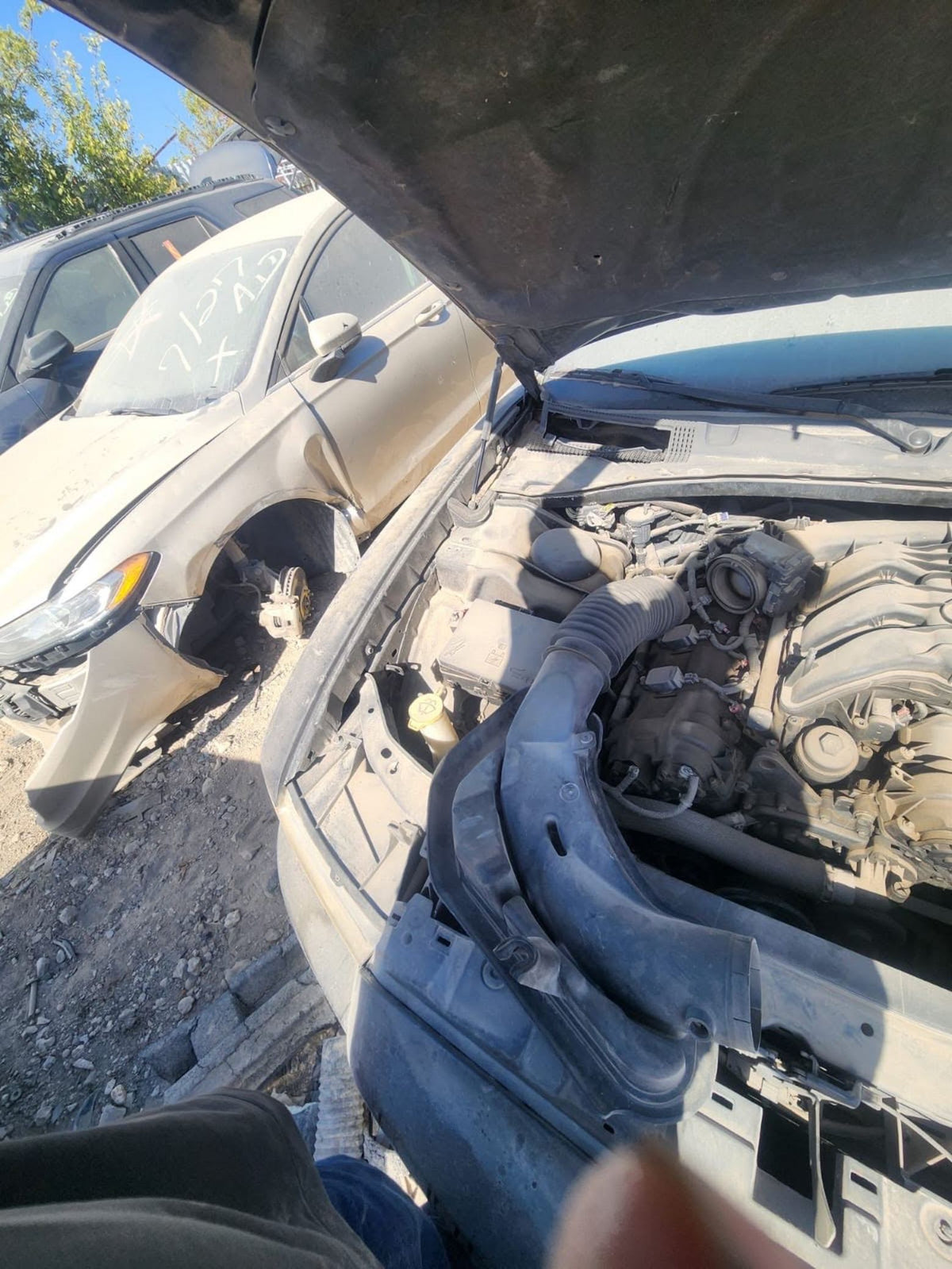 Seat Belt Retractor Front Passenger Side 2011 - 2023 Dodge Charger