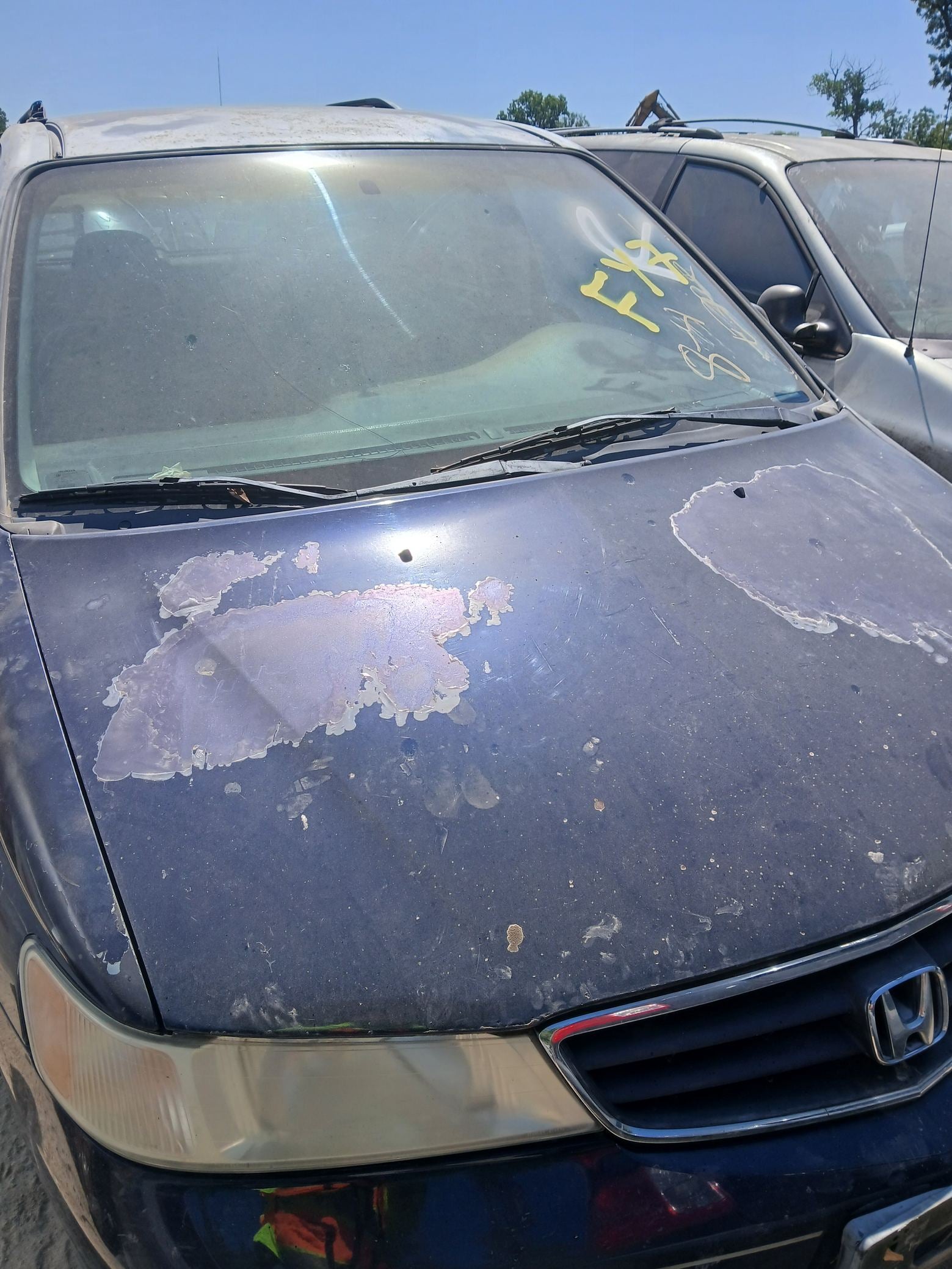 Fuel Filler Door 1999 - 2004 Honda Odyssey