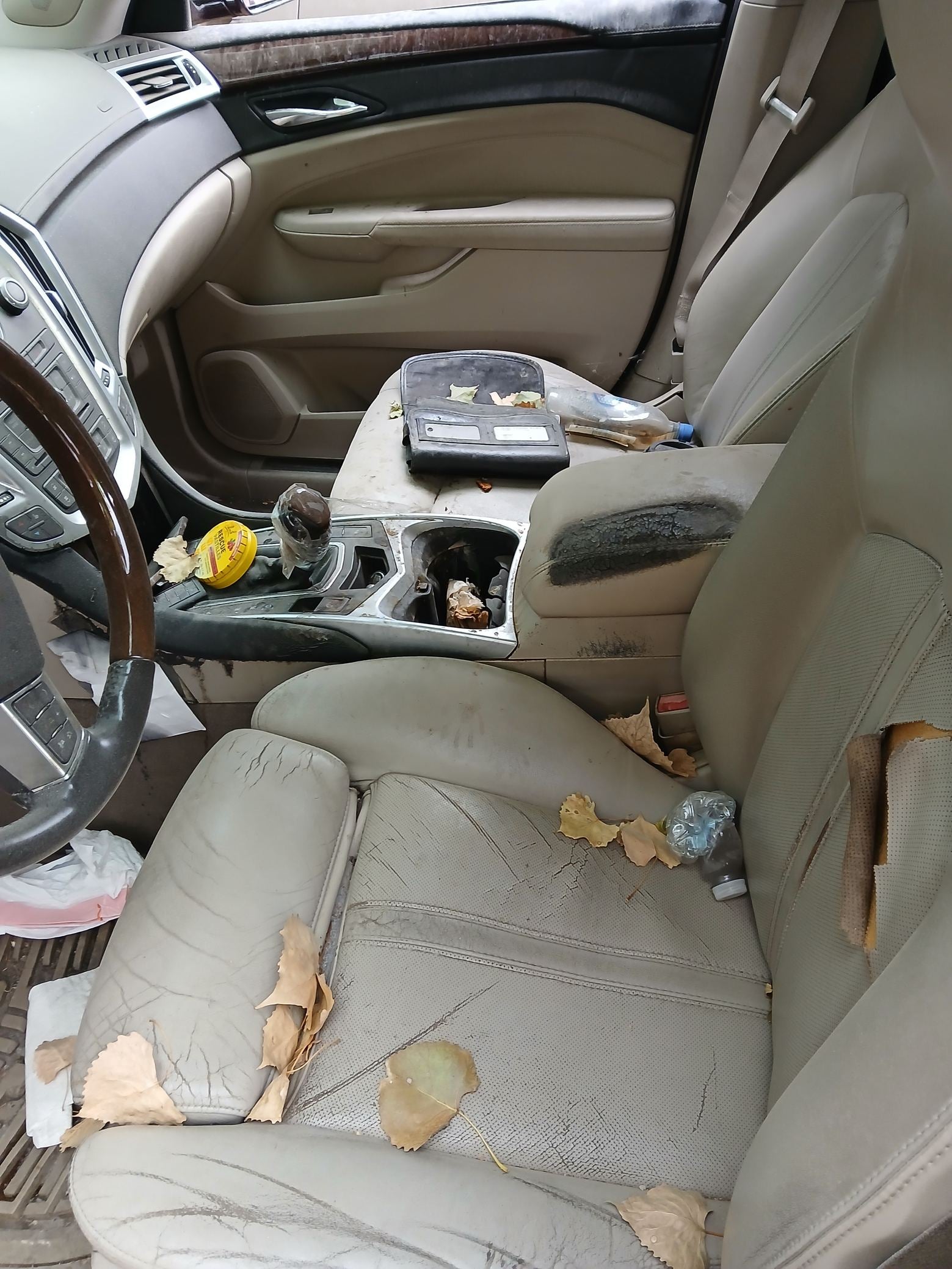 Sunroof Assembly 2010 - 2016 Cadillac SRX