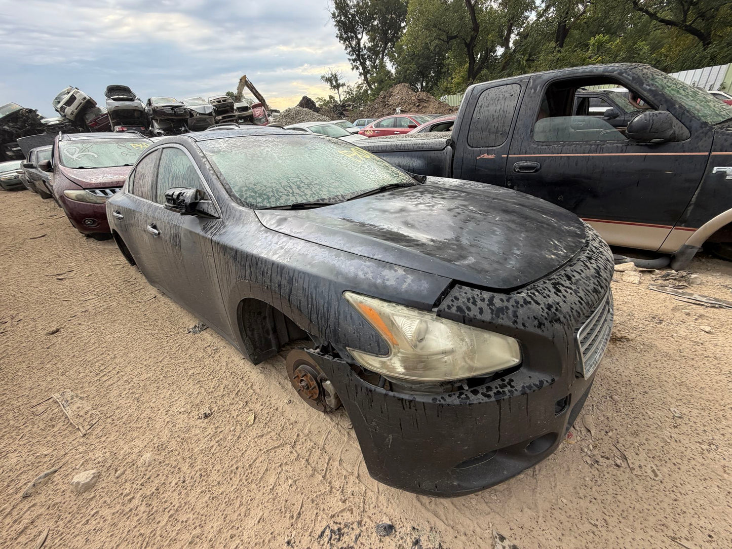 Fuel Door 2009 - 2014 Nissan Maxima